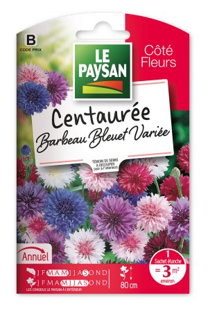 CENTAUREE - BARBEAU BLEUET VARIEE