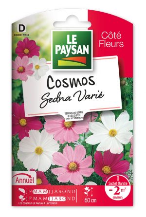 COSMOS - SEDNA VARIE