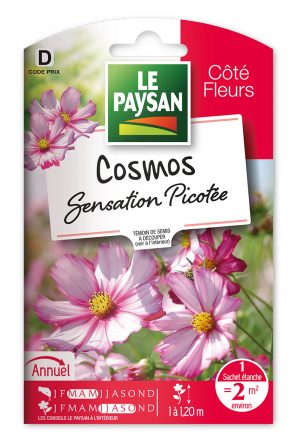 COSMOS - GEANT SENSATION PICOTÉE