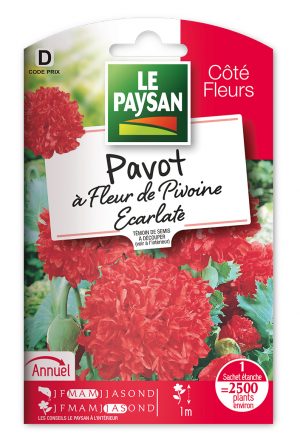PAVOT - A FLEUR DE PIVOINE ECARLATE