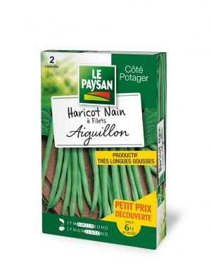 HARICOT NAIN - A FILETS AIGUILLON