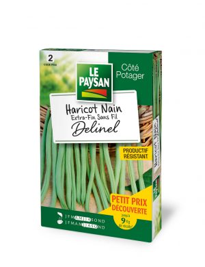 HARICOT NAIN - EXTRA-FIN SANS FIL DELINEL