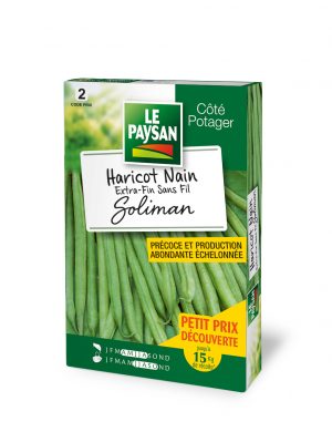 HARICOT NAIN - EXTRA-FIN SANS-FIL SOLIMAN