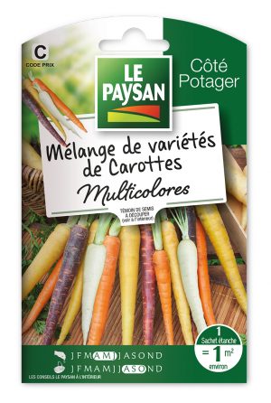MÉLANGE DE CAROTTES MULTICOLORES -