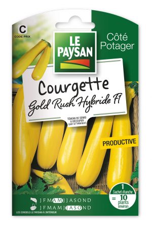 COURGETTE - GOLD RUSH HYBRIDE F1