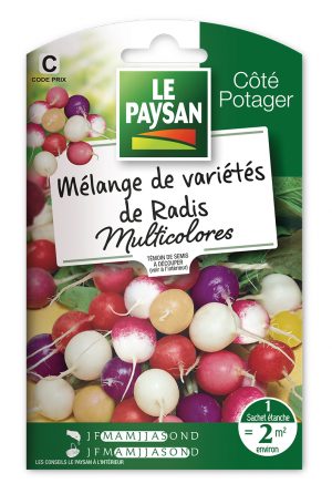 MÉLANGE DE RADIS MULTICOLORES -
