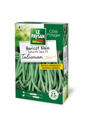 HARICOT NAIN - EXTRA-FIN SANS FIL TALISMAN L'Original