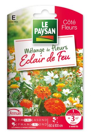 MELANGE DE FLEURS - ECLAIR DE FEU