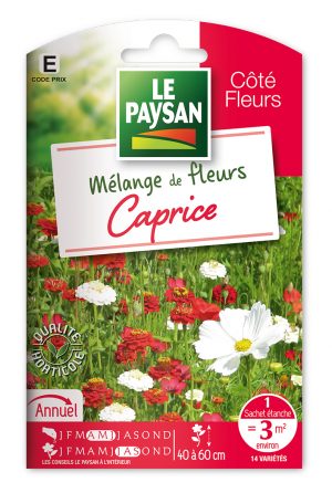 MELANGE DE FLEURS - CAPRICE