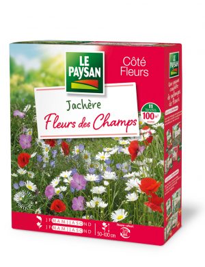 JACHERE - FLEURS DES CHAMPS