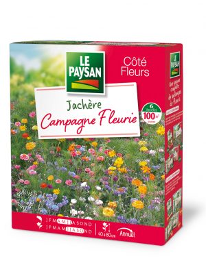 JACHERE - CAMPAGNE FLEURIE