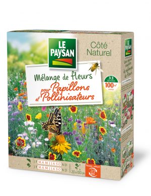 MELANGE DE FLEURS - POUR PAPILLONS & POLLINISATEURS