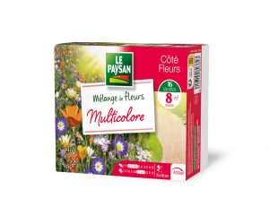 MELANGE DE FLEURS - MULTICOLORE