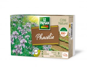 PHACELIE - PHACELIE