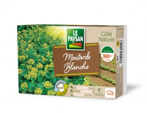 MOUTARDE BLANCHE - MOUTARDE BLANCHE