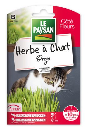 HERBE A CHAT -