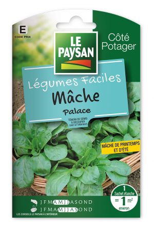 MÂCHE - PALACE