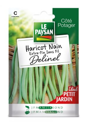 HARICOT NAIN - EXTRA-FIN SANS FIL DELINEL
