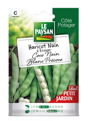 HARICOT NAIN - A ECOSSER COCO NAIN BLANC PRECOCE