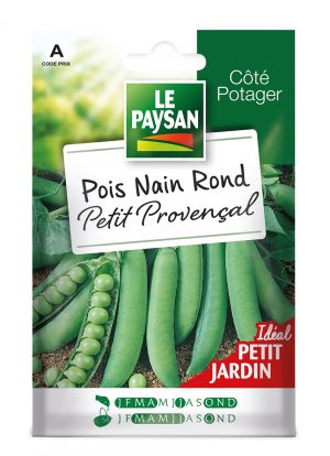 POIS NAIN - PETIT PROVENCAL