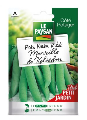 POIS NAIN - MERVEILLE DE KELVEDON