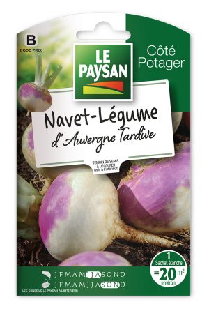 NAVET - RAVE D'AUVERGNE TARDIVE