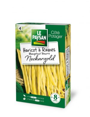 HARICOT A RAMES - MANGETOUT NECKARGOLD