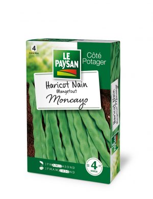 HARICOT NAIN - MANGETOUT MONCAYO