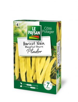 HARICOT NAIN - MANGETOUT PLADOR