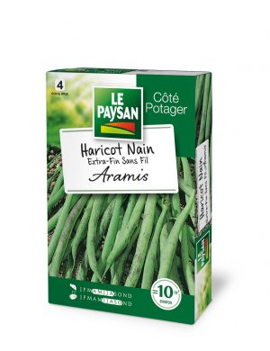 HARICOT NAIN - EXTRA-FIN SANS-FIL ARAMIS