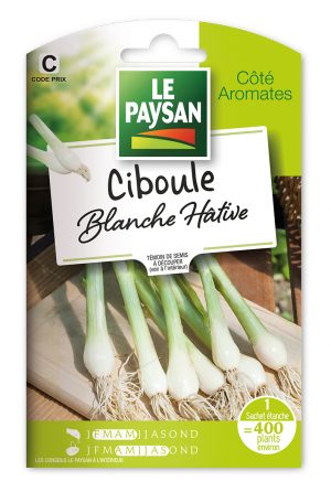 CIBOULE  - BLANCHE HATIVE