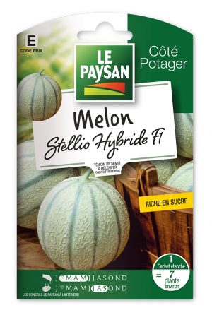 MELON - STELLIO HYBRIDE F1