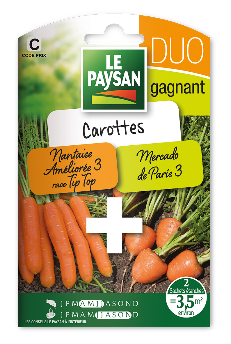 Graines Potagères de Carotte Mercado de Paris 3 - Plantes potagères