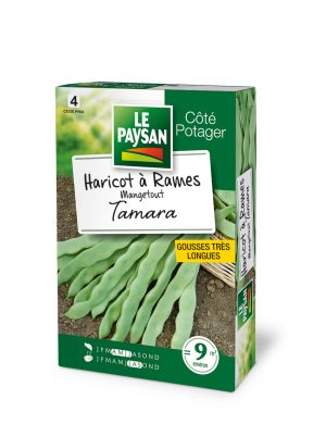 HARICOT A RAMES - MANGETOUT TAMARA