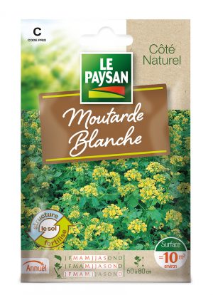 MOUTARDE BLANCHE - MOUTARDE BLANCHE