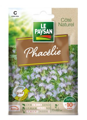 PHACELIE - PHACELIE