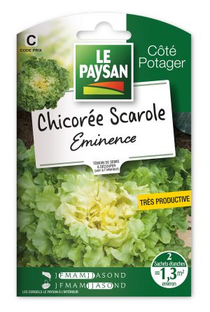 CHICOREE SCAROLE - EMINENCE