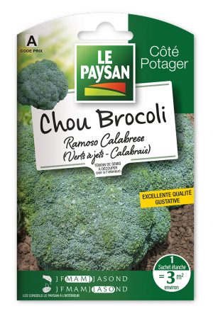 CHOU BROCOLI - RAMOSO CALABRESE (Verts à Jets - Calabrais)