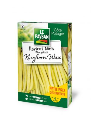 HARICOT NAIN - MANGETOUT KINGHORN WAX