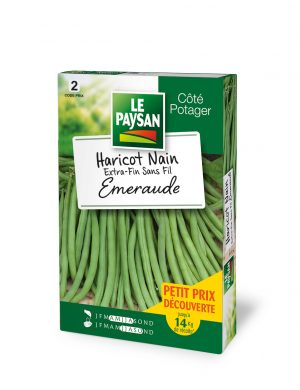 HARICOT NAIN - EXTRA-FIN SANS FIL EMERAUDE