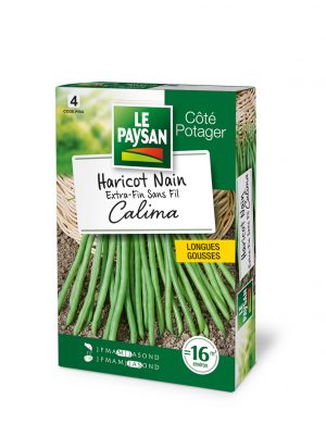HARICOT NAIN - EXTRA-FIN SANS-FIL CALIMA