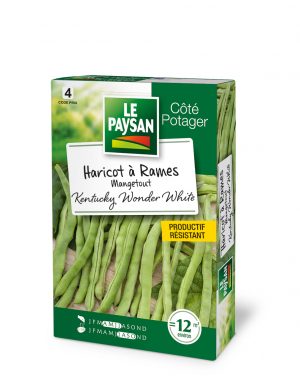 HARICOT A RAMES - KENTUCKY WONDER WHITE