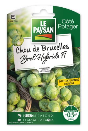 CHOU DE BRUXELLES  - BREL HYBRIDE F1