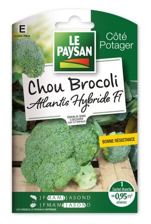 CHOU BROCOLI - ATLANTIS HYBRIDE F1
