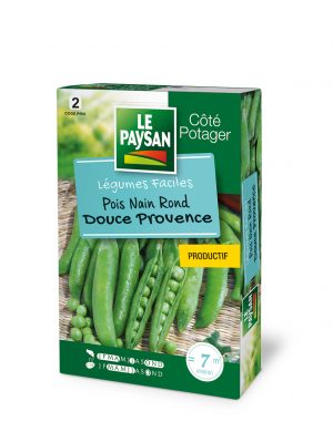 POIS NAIN - DOUCE PROVENCE