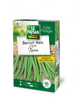HARICOT NAIN - A FILETS XERA