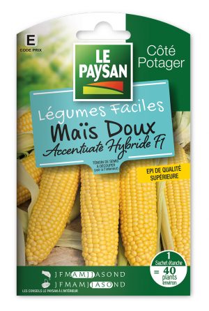MAIS  - ACCENTUATE HYBRIDE F1