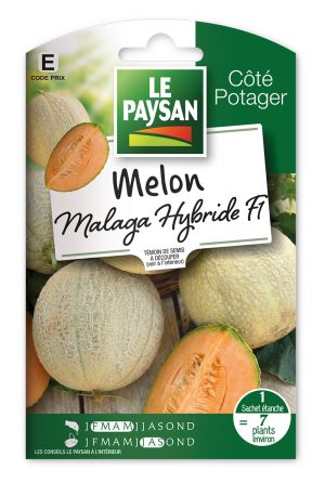 MELON - MALAGA HYBRIDE F1