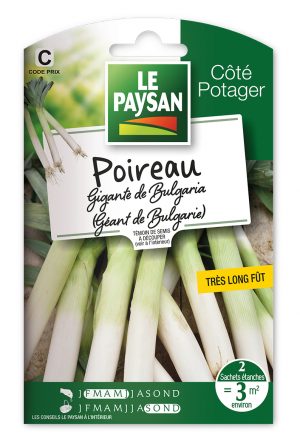 POIREAU - GIGANTE DE BULGARIA (Géant de Bulgarie)
