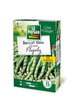 HARICOT NAIN - A ECOSSER FLAJOLY